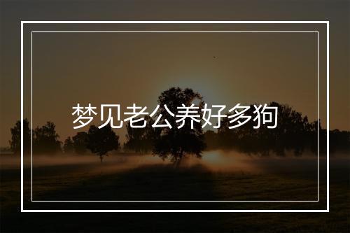 梦见老公养好多狗