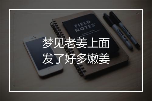 梦见老姜上面发了好多嫩姜