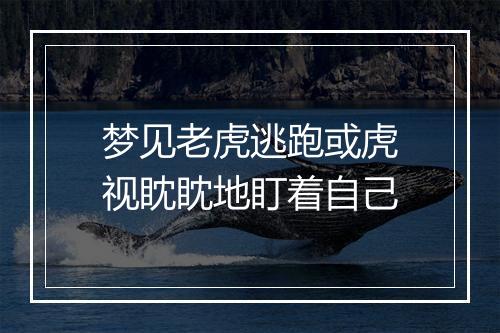 梦见老虎逃跑或虎视眈眈地盯着自己