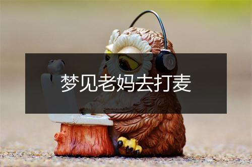 梦见老妈去打麦