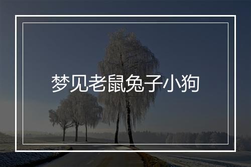 梦见老鼠兔子小狗