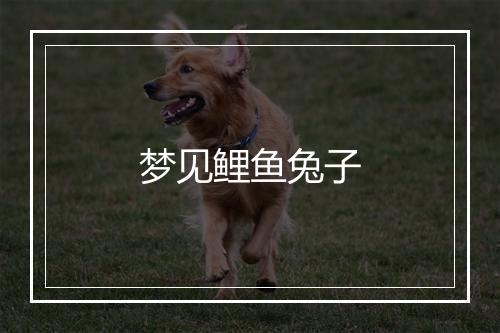 梦见鲤鱼兔子