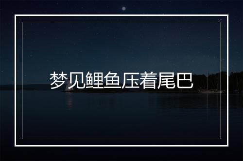 梦见鲤鱼压着尾巴