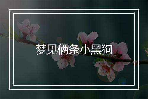 梦见俩条小黑狗