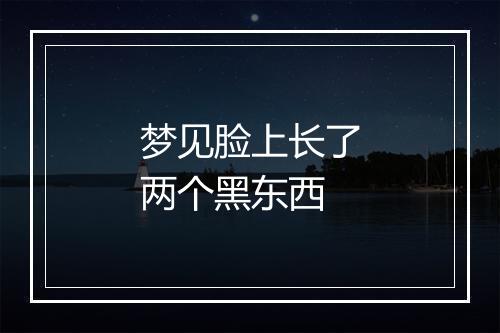 梦见脸上长了两个黑东西