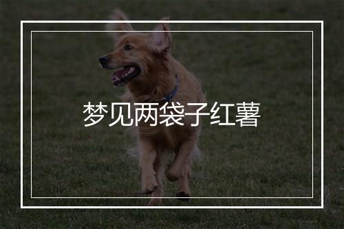 梦见两袋子红薯