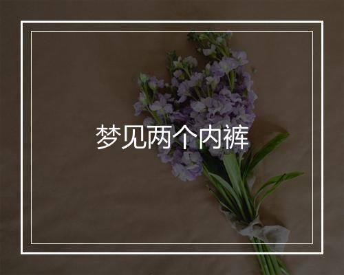 梦见两个内裤