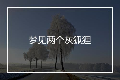 梦见两个灰狐狸