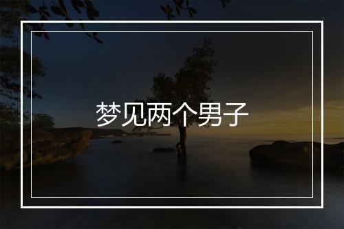 梦见两个男子