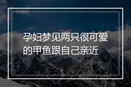 孕妇梦见两只很可爱的甲鱼跟自己亲近