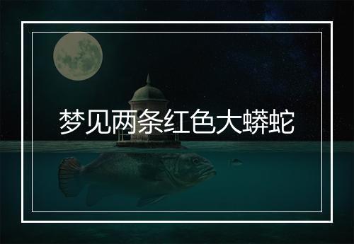 梦见两条红色大蟒蛇