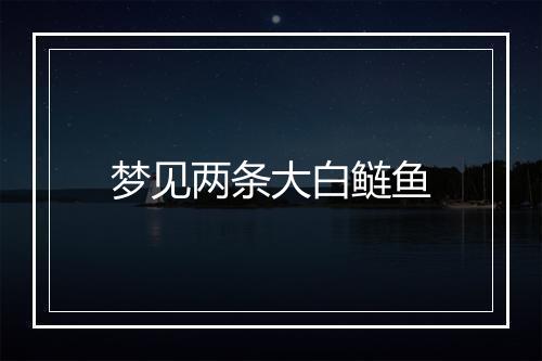 梦见两条大白鲢鱼