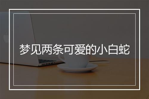 梦见两条可爱的小白蛇