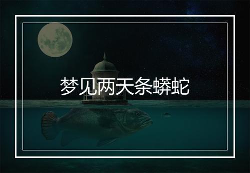 梦见两天条蟒蛇