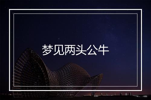 梦见两头公牛