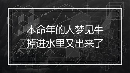 本命年的人梦见牛掉进水里又出来了