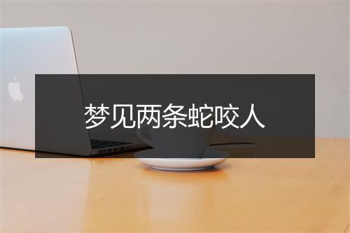 梦见两条蛇咬人