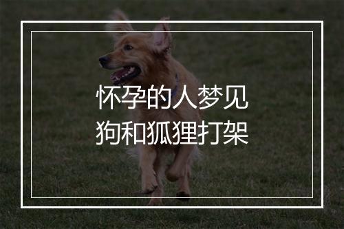 怀孕的人梦见狗和狐狸打架