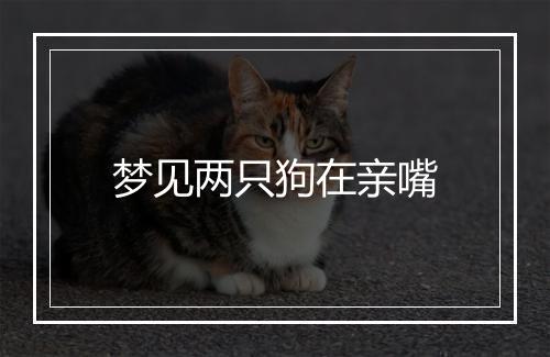 梦见两只狗在亲嘴