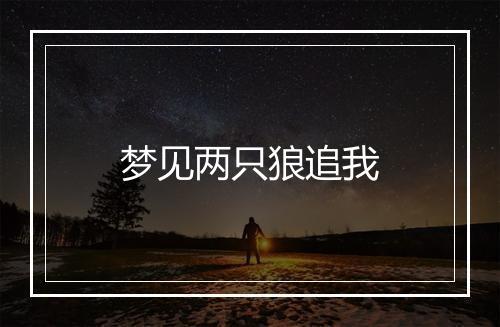 梦见两只狼追我