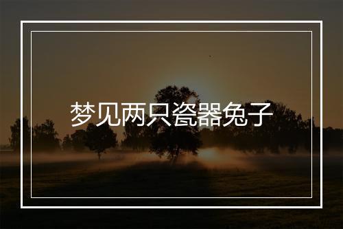 梦见两只瓷器兔子