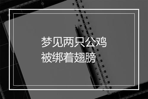 梦见两只公鸡被绑着翅膀