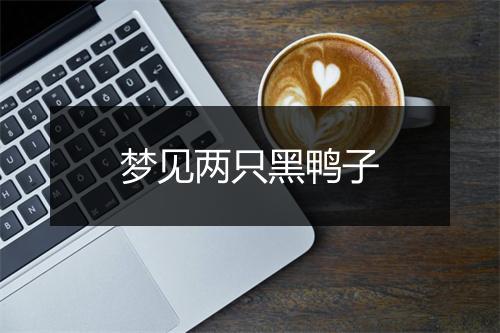 梦见两只黑鸭子