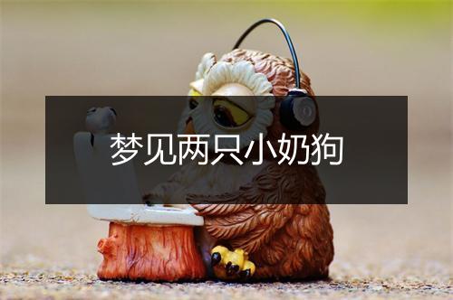 梦见两只小奶狗