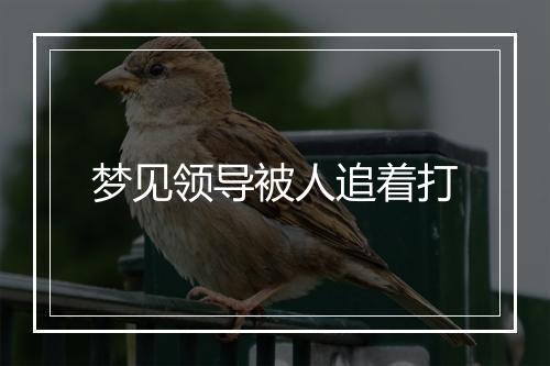 梦见领导被人追着打