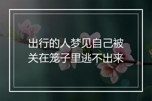 出行的人梦见自己被关在笼子里逃不出来