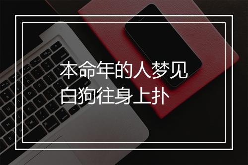 本命年的人梦见白狗往身上扑