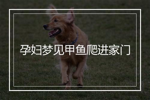 孕妇梦见甲鱼爬进家门