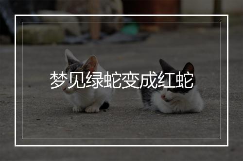 梦见绿蛇变成红蛇