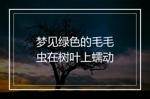 梦见绿色的毛毛虫在树叶上蠕动