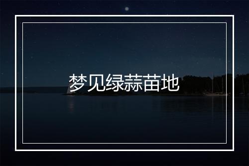 梦见绿蒜苗地