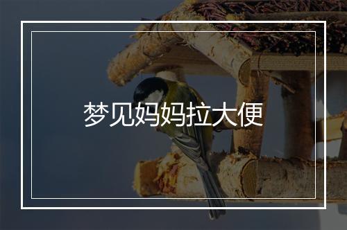 梦见妈妈拉大便