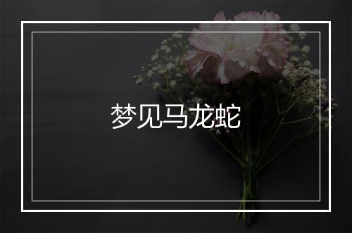 梦见马龙蛇