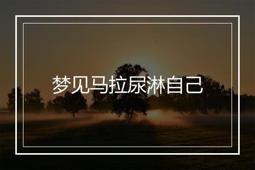 梦见马拉尿淋自己