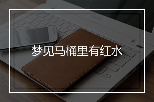 梦见马桶里有红水