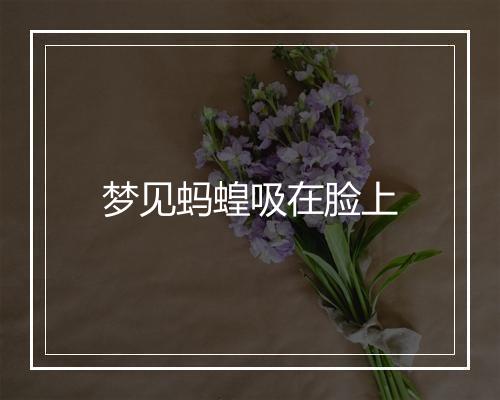 梦见蚂蝗吸在脸上