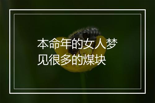 本命年的女人梦见很多的煤块