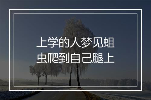 上学的人梦见蛆虫爬到自己腿上