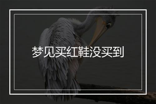 梦见买红鞋没买到