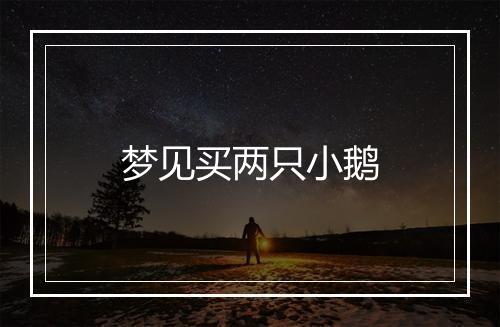 梦见买两只小鹅