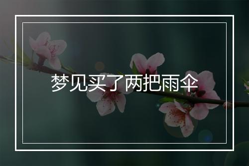 梦见买了两把雨伞