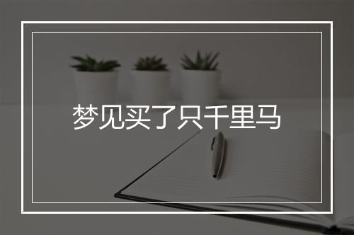 梦见买了只千里马