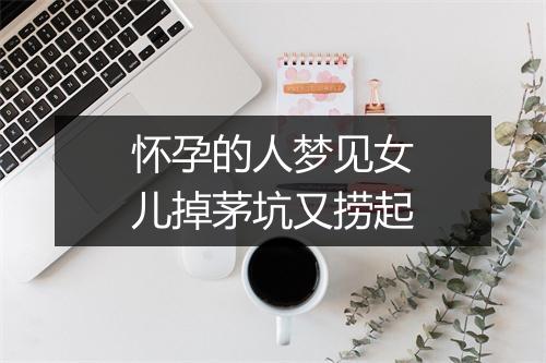 怀孕的人梦见女儿掉茅坑又捞起