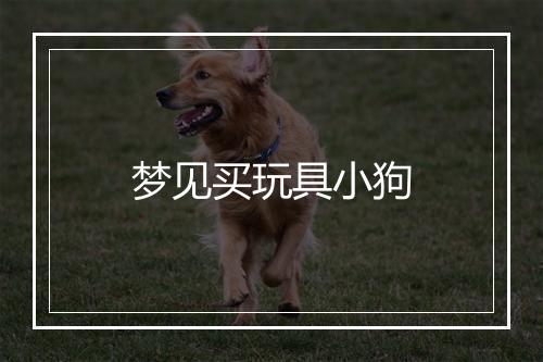 梦见买玩具小狗