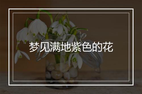 梦见满地紫色的花