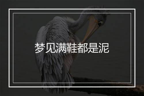 梦见满鞋都是泥